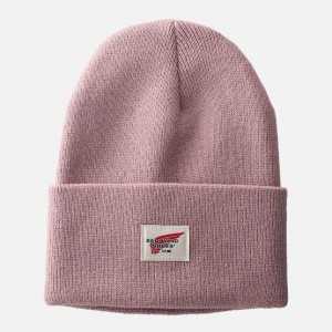 Red Wing Cuffed Beanie Hat in Pale Rose | UBEL-79318