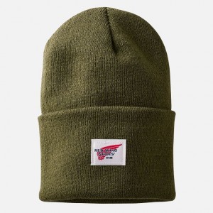 Red Wing Knit Watch Hat in Green | CLUZ-63845