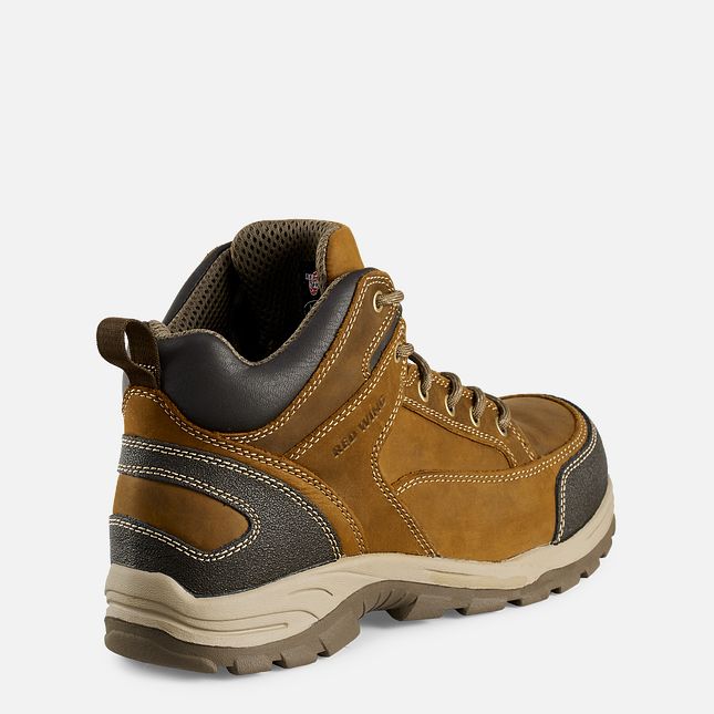 Red Wing 5-inch Safety Toe Hiker Boot | FHVU-37560