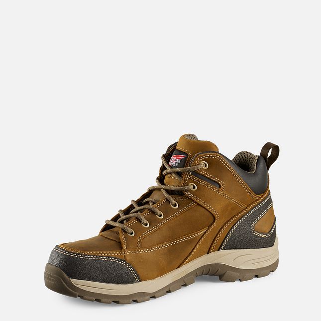 Red Wing 5-inch Safety Toe Hiker Boot | FHVU-37560