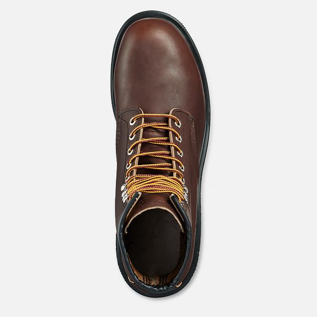 Red Wing 8-inch Safety Toe Boot Svarte | MEPR-39615